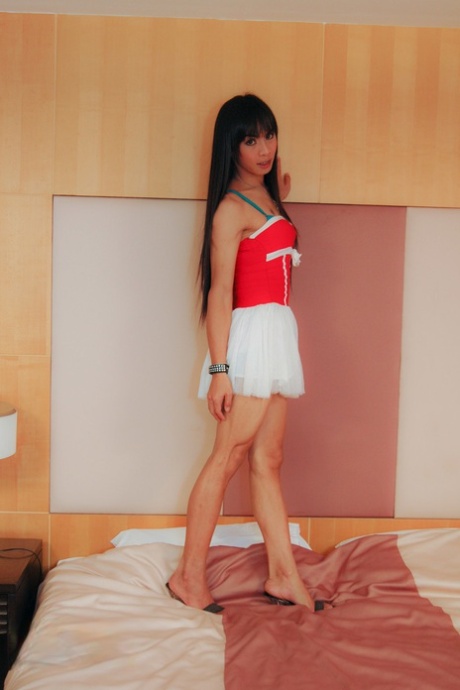 Black-haired shemale Umm enjoys a standing doggystyle anal dicking