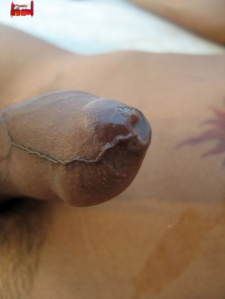 Uncut Shemale
